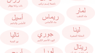 أسماء بنات مميزة ونادرة جديدة جميلة وقوية 2024 اجمل اسماء بنات كيوت 7 أسماء بنات مميزة ونادرة جديدة جميلة وقوية 2024 اجمل اسماء بنات كيوت