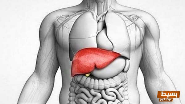 علاج ارتفاع البيليروبين المباشر عند الكبار 1 1730341153 علاج ارتفاع البيليروبين المباشر عند الكبار