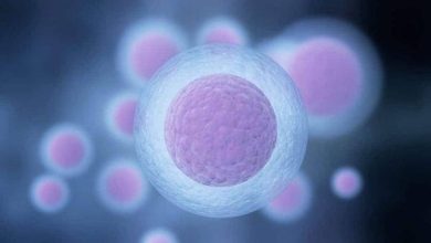 استكشف أسباب كثرة دخول الحمام بعد ترجيع الأجنة: ما الذي يحدث لجسمك؟ 5 84 4