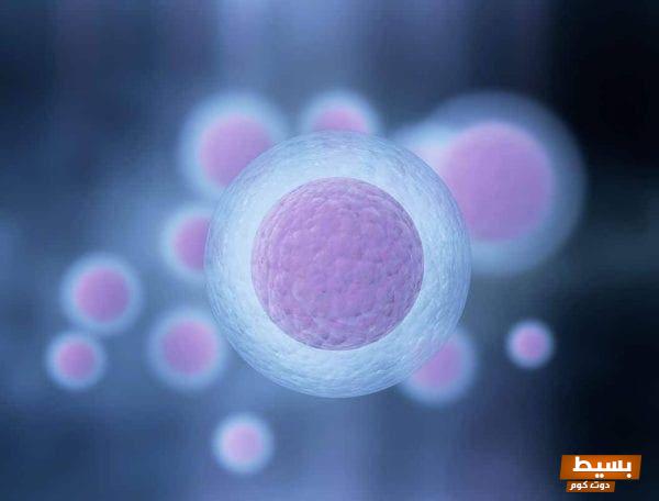 استكشف أسباب كثرة دخول الحمام بعد ترجيع الأجنة: ما الذي يحدث لجسمك؟ 1 84 4