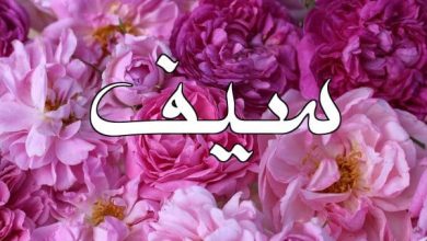 اسم سيف في المنام 7 اسم سيف في المنام e1659344599505