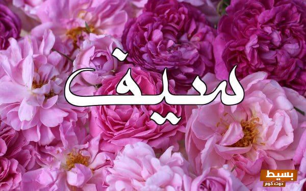 اسم سيف في المنام 1 اسم سيف في المنام e1659344599505