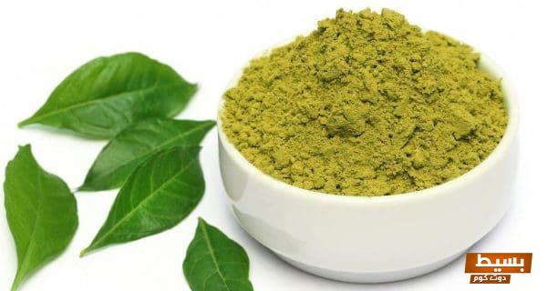 تجربتي المذهلة مع الحنا والسدر للشعر: كيف غيرت شعري وأستعدت بريقه الطبيعي! 1 تجربتي مع الحنا والسدر للشعر