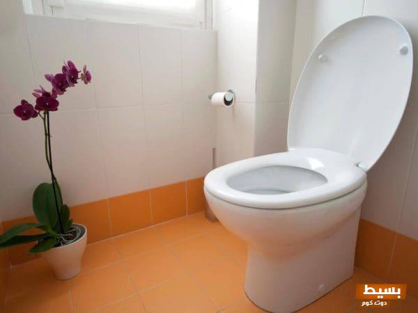 تفسير حلم السقوط في المرحاض في المنام: دلالاته الغامضة ومعانيه العميقة التي قد تغير نظرتك للأمور! 1 تفسير حلم السقوط في المرحاض في المنام