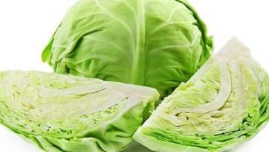 تفسير حلم الكرنب الأخضر لابن سيرين وميلر والنابلسي: انكشف الغموض حول رموزه وتأثيره على حياتك! 6 تفسير حلم الكرنب الأخضر