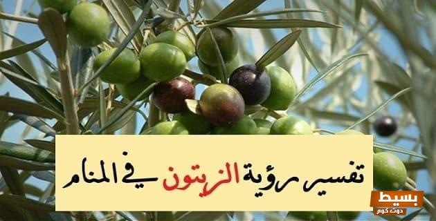 تفسير رؤية الزيتون في المنام1