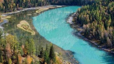 تفسير حلم رؤية الجنة في المنام: اكتشف المعاني العميقة والدلالات الروحية وراء هذا الرؤيا المباركة! 2 رؤية الجنة في المنام