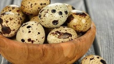 فوائد بيض السمان الرائعة للرجال اكتشف كيف يمكن أن يعزز صحتك العامة ويزيد من طاقتك! 3 1010 2