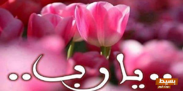 دعاء الإمام علي لقضاء الحوائج: مفتاح السعادة والفرج في أوقات الشدة 4 111