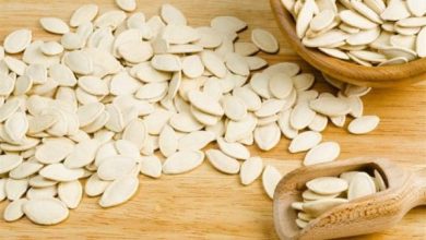 هل لب الكوسا يزيد الوزن اكتشف الحقيقة المدهشة التي تحتاج لمعرفتها الآن! 4 152 2