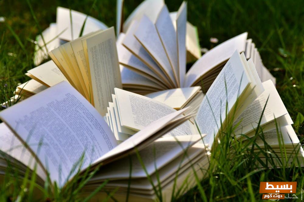 اكتشف أسرار رواية "عهد الملاك" الفصل الأول مجاناً بصيغة PDF احصل على مغامرتك المشوقة الآن! 3 1732445179 pexels photo 415078 2