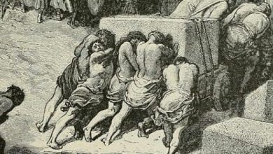 كان فرعون يقتل من بني إسرائيل: قصة مأساوية تكشف ظلم السلطة وجرائمها ضد الأبرياء. 3 18 31