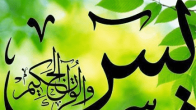 أضرار عدية ياسين المدمرة على السارق كيف تؤدي إلى عواقب وخيمة ومفاجئة! 6 2020 08 27 020559