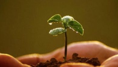 الأسباب المعينة على المداومة على العمل الصالح: دعوة للإلهام والتغيير نحو حياة مليئة بالإنجازات المباركة 4 21 16