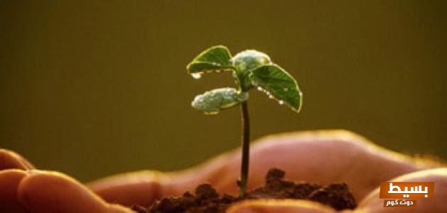 الأسباب المعينة على المداومة على العمل الصالح: دعوة للإلهام والتغيير نحو حياة مليئة بالإنجازات المباركة 1 21 16