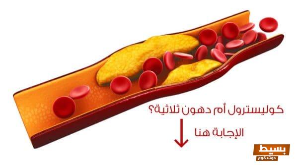 اكتشف الفرق الحاسم بين الكولسترول والدهون الثلاثية معلومات مهمة لصحتك! 1 22 3