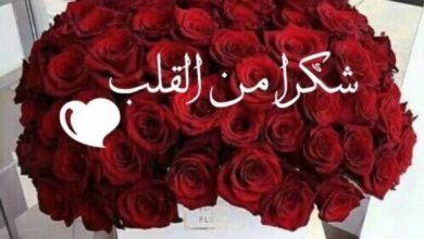 كلمة شكر وإمتنان للمعلمين المبدعين بمناسبة انتهاء العام الدراسي تكريم وتقدير لجهودكم المبذولة في بناء الأجيال! 6 3 50