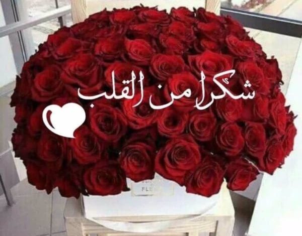 كلمة شكر وإمتنان للمعلمين المبدعين بمناسبة انتهاء العام الدراسي تكريم وتقدير لجهودكم المبذولة في بناء الأجيال! 1 3 50