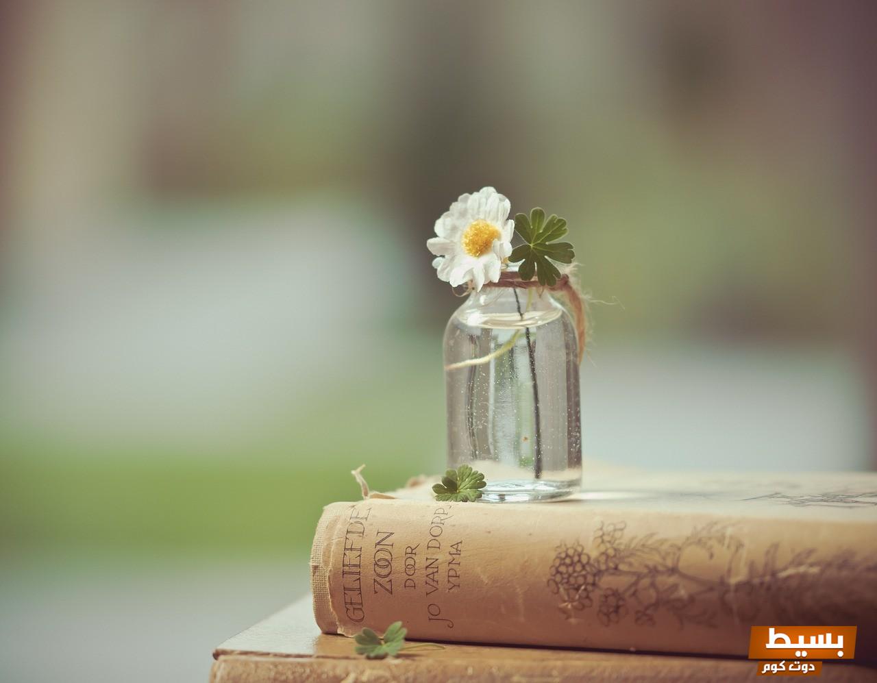 تحميل وقراءة رواية الشيطان وقع أسيرها pdf اكتشف أسرارًا مدهشة وتأملات مثيرة في عوالم الظلام! 4 3YR2J0OQl4 6