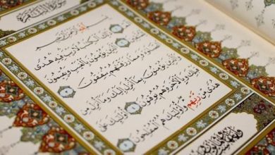 تجربتي الملهمة مع سورة البقرة لتحقيق المستحيل كيف غيّرت حياتي للأفضل! 5 42 3