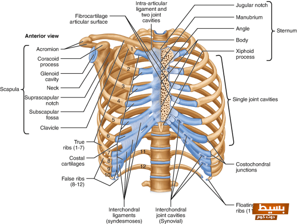 438215 1 En 9 Fig1 HTML