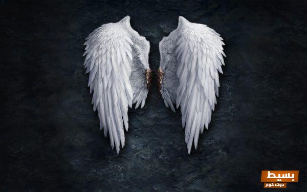 452743 beautiful angel wings wallpaper 1920x1200 1