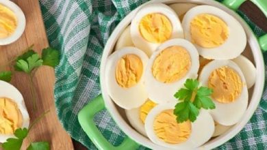 هل البيض مفيد حقًا لمرضى السرطان اكتشف الحقيقة المدهشة التي قد تغير مجرى حياتك! 4 464 1