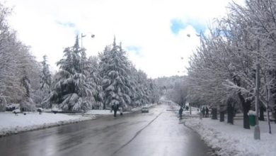 مثل شعبي رائع عن فصل الشتاء يجسد جمال الطبيعة ودفء العلاقات الإنسانية 3 54 25