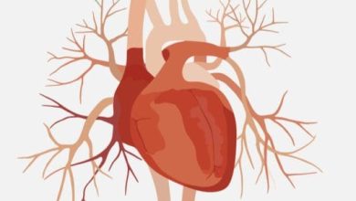 تجربتي المذهلة مع الرجفان الأذيني كيف تغلبت على التحديات واستعدت حياتي الصحية! 6 54465