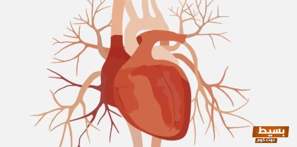 تجربتي المذهلة مع الرجفان الأذيني كيف تغلبت على التحديات واستعدت حياتي الصحية! 1 54465