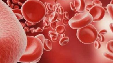 أضرار ارتفاع كريات الدم البيضاء اكتشف المخاطر الخفية وتأثيرها على صحتك العامة! 2 5553