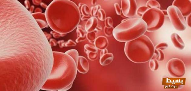 أضرار ارتفاع كريات الدم البيضاء اكتشف المخاطر الخفية وتأثيرها على صحتك العامة! 1 5553