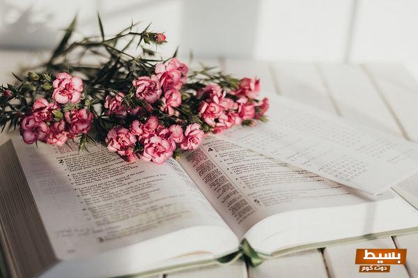 تحميل رواية كونسيلر pdf - اكتشف عالمًا مثيرًا من الأسرار والتشويق! 5 613e1dd45a79d