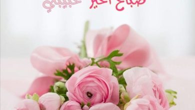 أحلى مسجات صباح الخير حبيبتي اجعل صباحك مليئًا بالحب والسعادة! 3 666