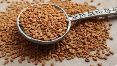 الكمية المسموح بها من حب الرشاد اكتشف الفوائد الصحية المذهلة وكيفية استخدامه بشكل آمن! 7 7 80