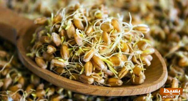 اكتشف ما هو جنين القمح وفوائده المذهلة لصحتك وجمالك! 4 969