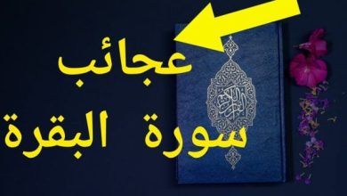فضل قراءة سورة البقرة لمدة 40 يوم تأملات روحية وفوائد مذهلة ستغير حياتك للأفضل! 7 Preferred reading Surat Al Baqara for 40 days