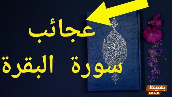 فضل قراءة سورة البقرة لمدة 40 يوم تأملات روحية وفوائد مذهلة ستغير حياتك للأفضل! 1 Preferred reading Surat Al Baqara for 40 days
