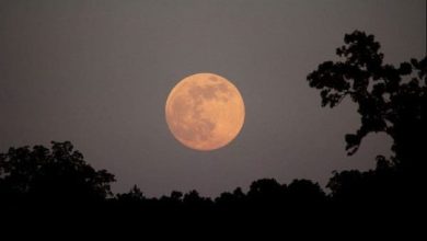 فوائد سورة القمر الروحانية العظيمة اكتشف قوة التأثير الإيجابي في حياتك! 23 Spiritual benefits of Surat Al Qamar