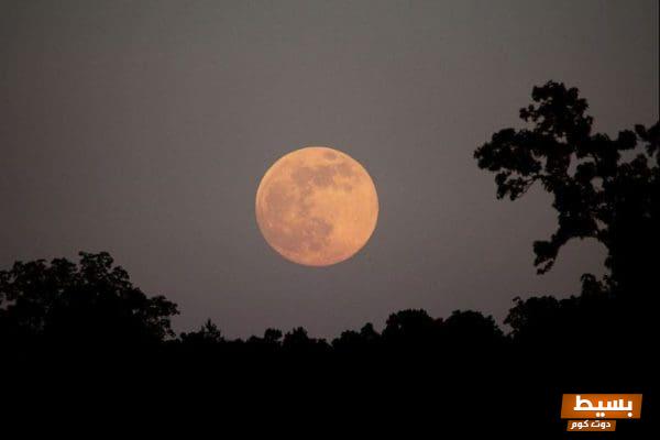 فوائد سورة القمر الروحانية العظيمة اكتشف قوة التأثير الإيجابي في حياتك! 1 Spiritual benefits of Surat Al Qamar