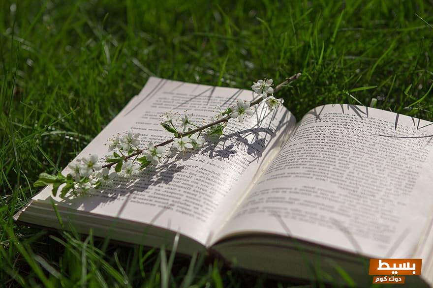 book grass nature spring 3