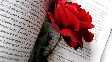 man made book flower rose wallpaper preview 1