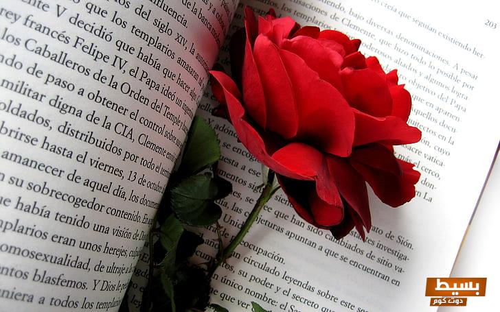 man made book flower rose wallpaper preview 1