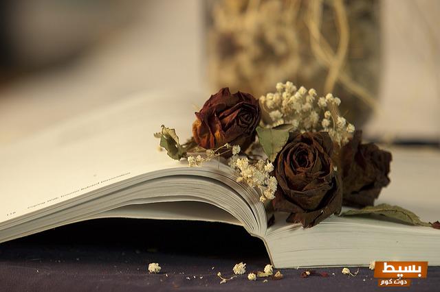 رواية شمس الأدهم اكتشف عمق العلاقة بين أدهم وشمس في الفصل الأول - تحميل PDF الآن! 2 reading 6290702 640