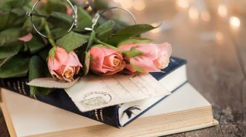 roses rose roses pink rose flowers flower romantic book love 1