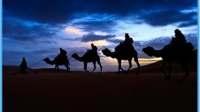 آخر من مات من الصحابة في مكة والمدينة والشام رحلة الوداع الملهمة لأصحاب النبي الأعظم 2 آخر من مات من الصحابة