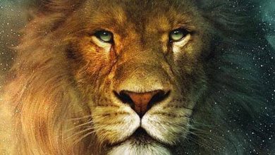 أبرز مميزات رجل برج الأسد وما هي صفاته الجيدة؟ اكتشف القوة والسحر التي تجعله فريدًا! 2 أبرز مميزات رجل برج الأسد وما هي صفاته الجيدة؟ 1