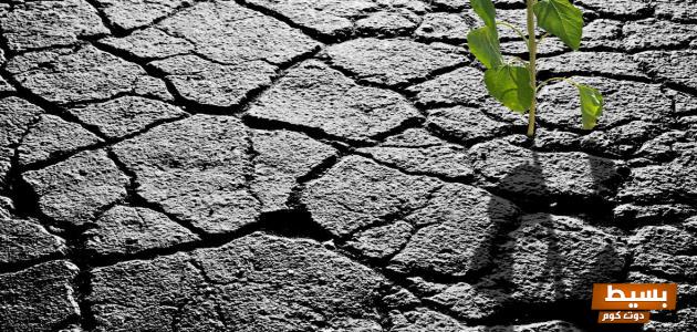 أجمل الأشعار القصيرة عن الأمل كلمات تنبض بالحياة وتلهم روحك للتفاؤل والإيجابية 15 أجمل الأشعار القصيرة عن الأمل 1