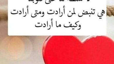 أجمل وأرقى كلام للحبيب كلمات تلامس القلب وتبعث السعادة في الروح 7 أجمل كلام للحبيب