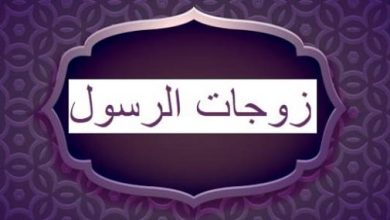 أسماء زوجات الرسول صلى الله عليه وسلم ونسب كلًا منهن: اكتشف حقائق مذهلة وتفاصيل مثيرة عن حياة أمهات المؤمنين وأثرهن في التاريخ الإسلامي! 6 أسماء زوجات الرسول صلى الله عليه وسلم